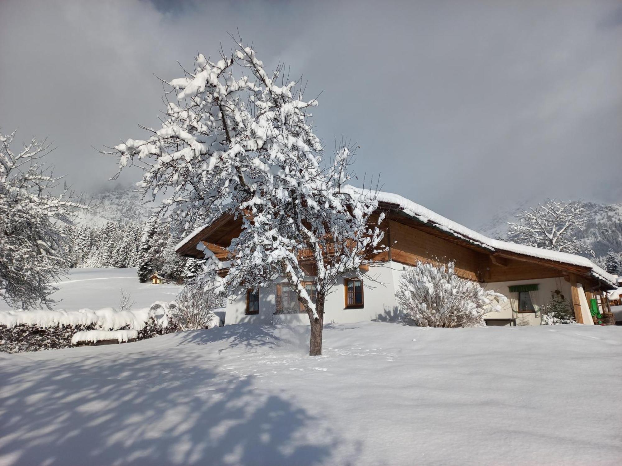 Chalet Gluecklich Sein... Елльмау Екстер'єр фото